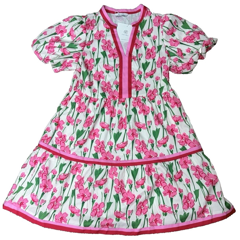 Cicy Bell Women's V Neck Floral Mini Casual Boho Pink w/ Green casual M